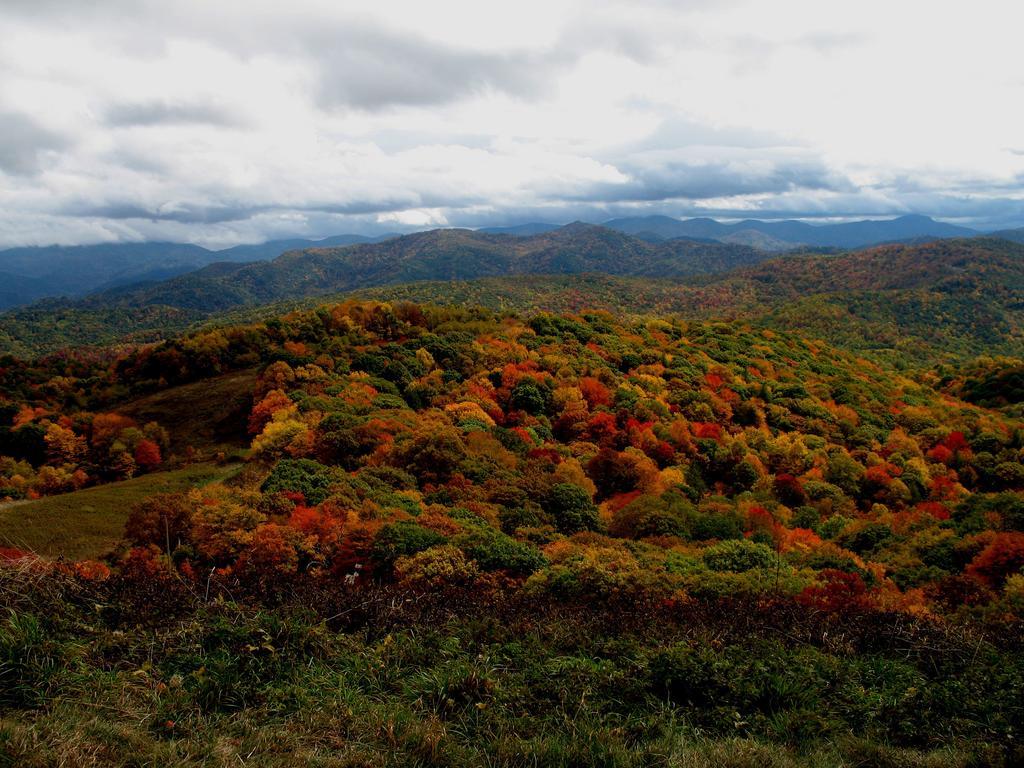 Hampton Inn Asheville - Biltmore Area المظهر الخارجي الصورة