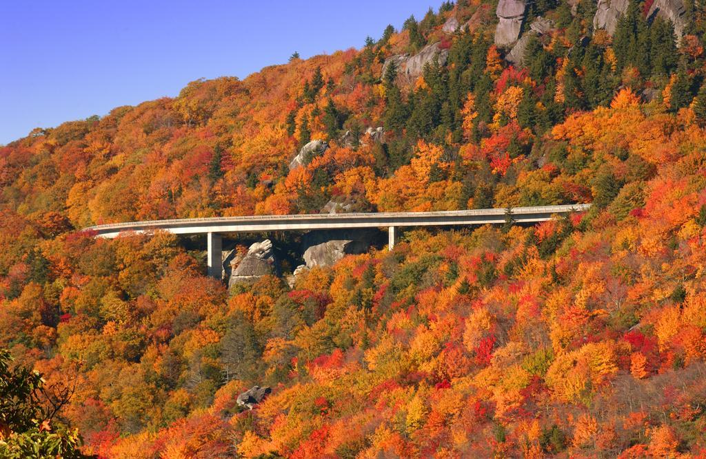 Hampton Inn Asheville - Biltmore Area المظهر الخارجي الصورة
